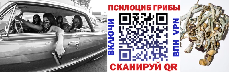 как найти   Верхнеуральск  это какой сайт  Псилоцибиновые грибы мухоморы 